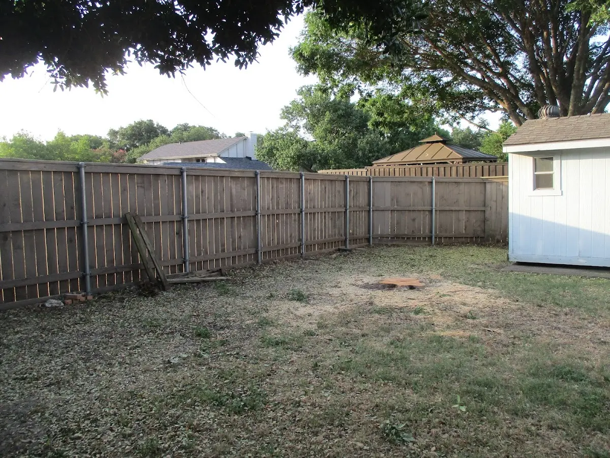 Cleared yard after professional tree removal in Carson